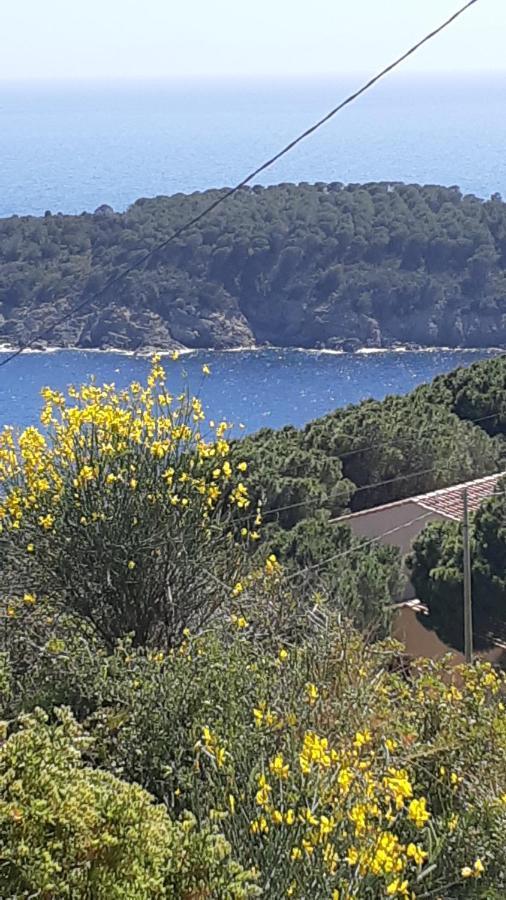 Residence La Calle Isola D'Elba Eksteriør billede