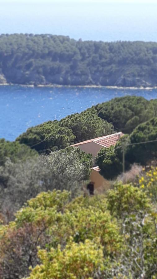 Residence La Calle Isola D'Elba Eksteriør billede