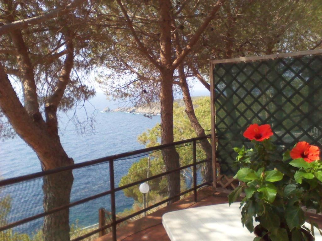 Residence La Calle Isola D'Elba Eksteriør billede